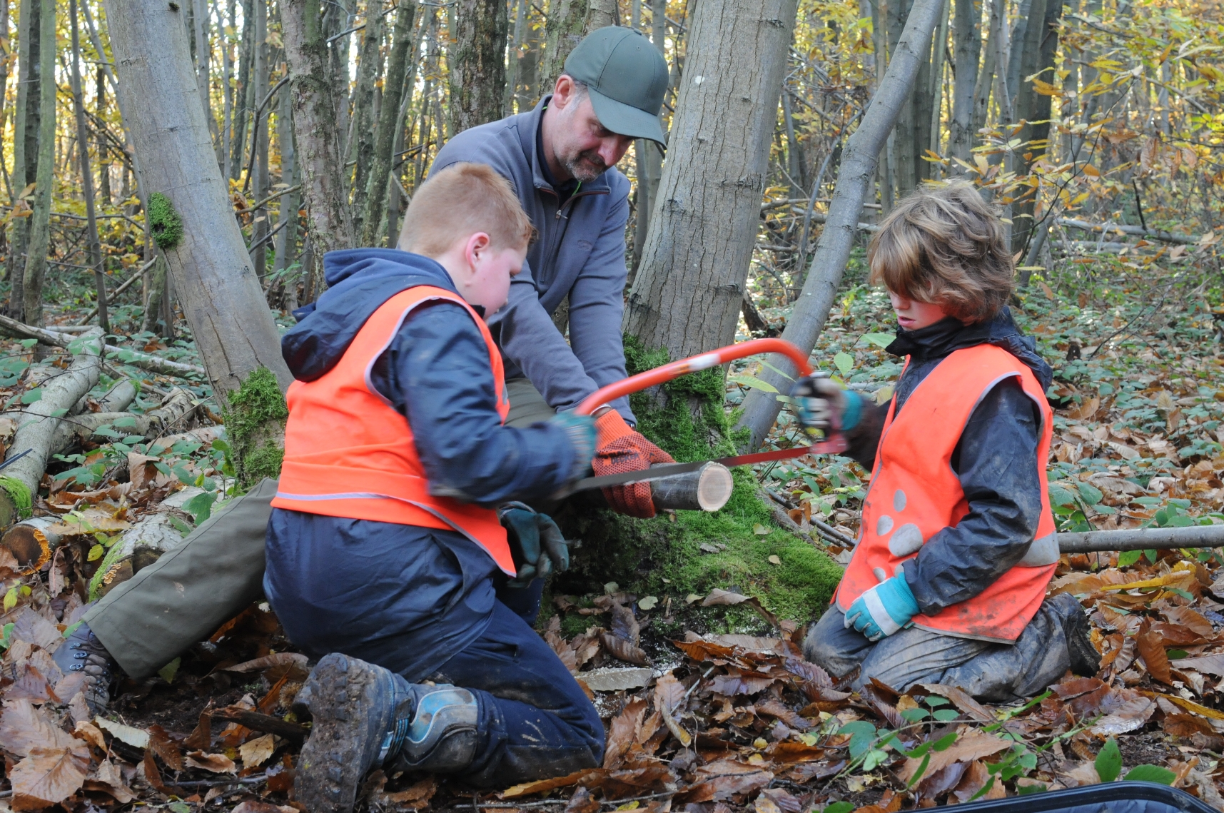 Ann Nussey Forest School - children learning how to saw wood